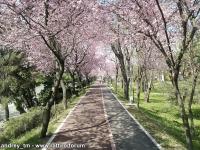 Imagine atasata: IMG_20150404_124741.jpg